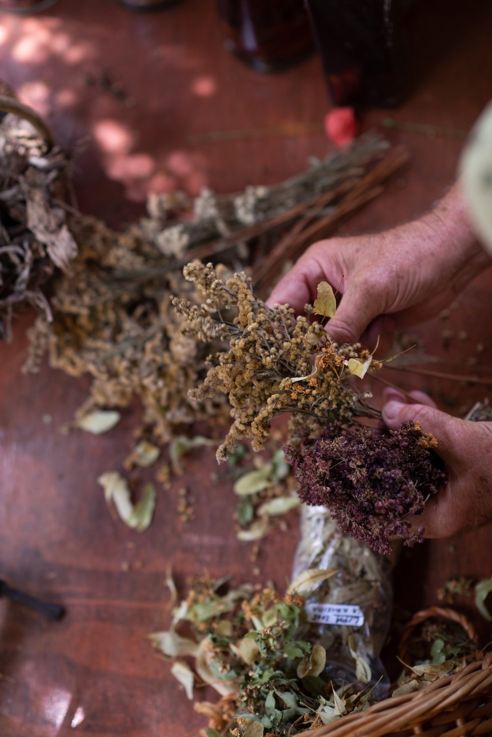 Herbalist Workshop